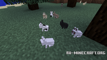  Baby Animals  Minecraft 1.12