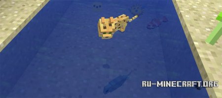  Fishes  Minecraft PE 1.1