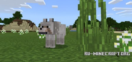  More Wolves  Minecraft PE 1.1
