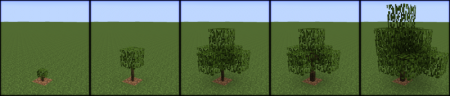  Dynamic Trees  Minecraft 1.10.2