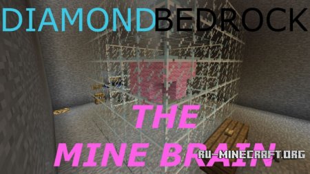  The Mine Brain  Minecraft