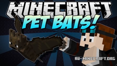  Pet Bat  Minecraft 1.12.2