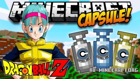  Capsule  Minecraft 1.12.2