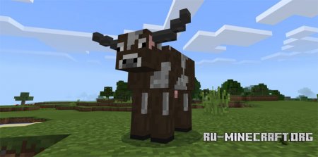  Project Detail  Minecraft PE 1.2