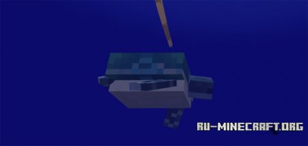  Turtles  Minecraft PE 1.2