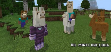  Llama Heads  Minecraft PE 1.2