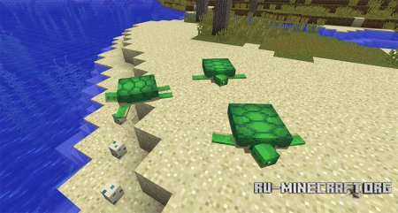 Черепахи в Minecraft 1.13