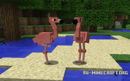  Exotic Birds  Minecraft 1.12.2