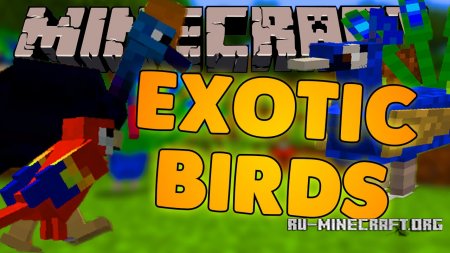  Exotic Birds  Minecraft 1.11.2