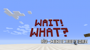  Wait! What?  Minecraft