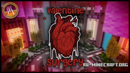  Valentine Surgery  Minecraft