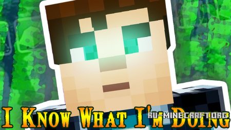 Скачать I Know What I’m Doing для Minecraft 1.12.2