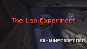  The Lab Experiment  Minecraft