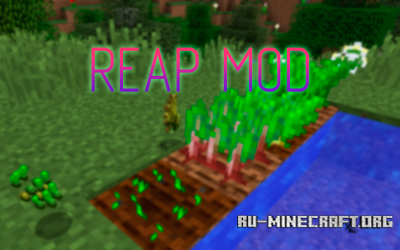  Reap  Minecraft 1.13