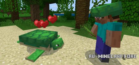  Turtle Plus  Minecraft PE 1.5