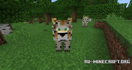  Tigers  Minecraft PE 1.5