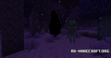  The Midnight  Minecraft 1.12.2