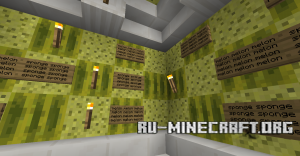  The Puzzling Rooms  Minecraft