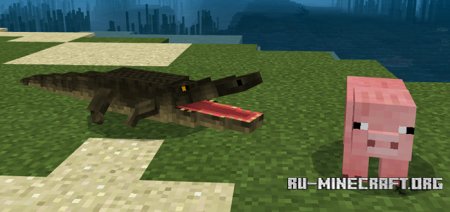  Alligator  Minecraft PE 1.9