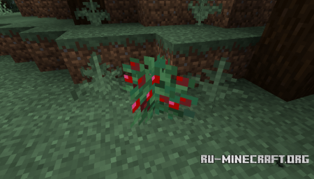 Куст сладких ягод в Minecraft 1.14 (2)