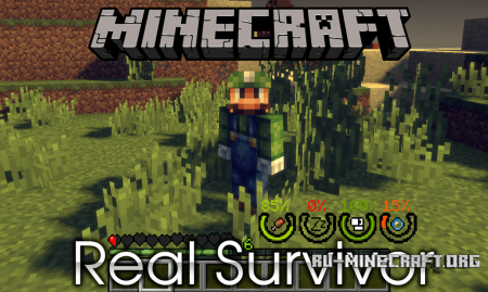  Real Survivor  Minecraft 1.12.2