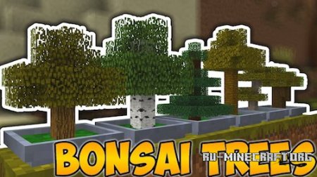  Bonsai Trees  Minecraft 1.12.2