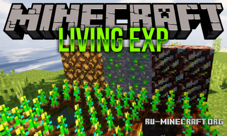  Living Exp  Minecraft 1.12.2
