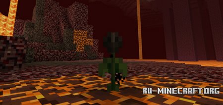 Wither Rose  Minecraft PE 1.8