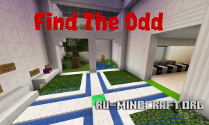  Find The Odd  Minecraft