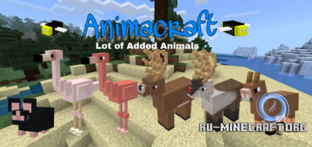  Animacraft  Minecraft PE 1.10