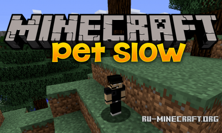  Pet Slow  Minecraft 1.12.2