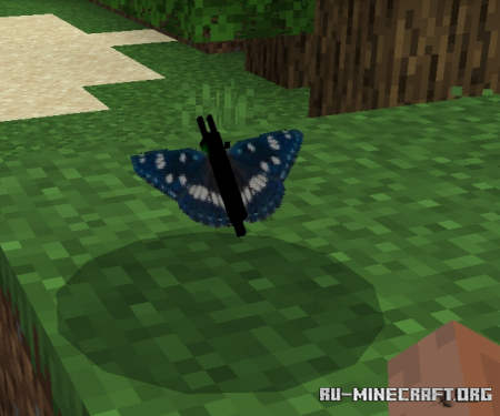  Butterfly  Minecraft PE 1.11