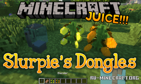  Slurpies Dongles  Minecraft 1.14.4