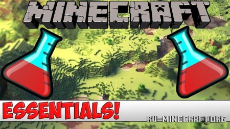  Essentials  Minecraft 1.14.4