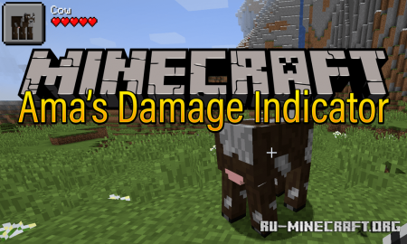  Amas Damage Indicator  Minecraft 1.14.4