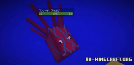  Rocket Squids  Minecraft 1.14.4