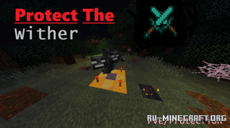  Protect The Wither  Minecraft