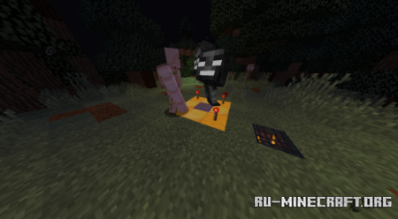  Protect The Wither  Minecraft