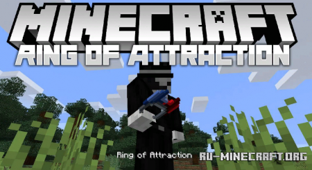  Ring of Attraction  Minecraft 1.14.4