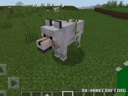  Animal Attack  Minecraft PE 1.13