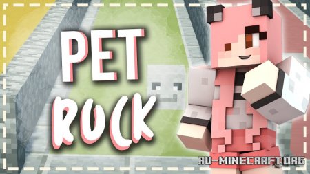  Petrock  Minecraft 1.14.4