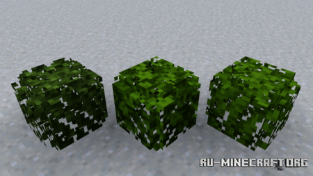  3D Leaves Model [16x16]  Minecraft PE 1.13