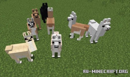  Genetic Animals  Minecraft 1.14.4