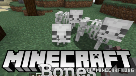  Bones  Minecraft 1.14.4
