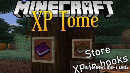  XP Tome  Minecraft 1.14.4