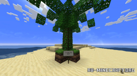  Desert Survival Island  Minecraft