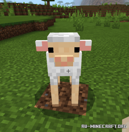  Cuter Vanilla Animals  Minecraft PE 1.13
