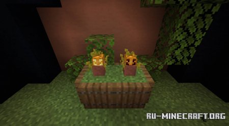  Florist  Minecraft 1.14.4