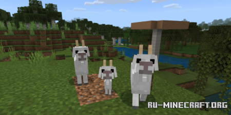  Goat  Minecraft PE 1.14