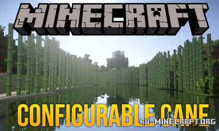 Скачать Configurable Cane для Minecraft 1.15.1
